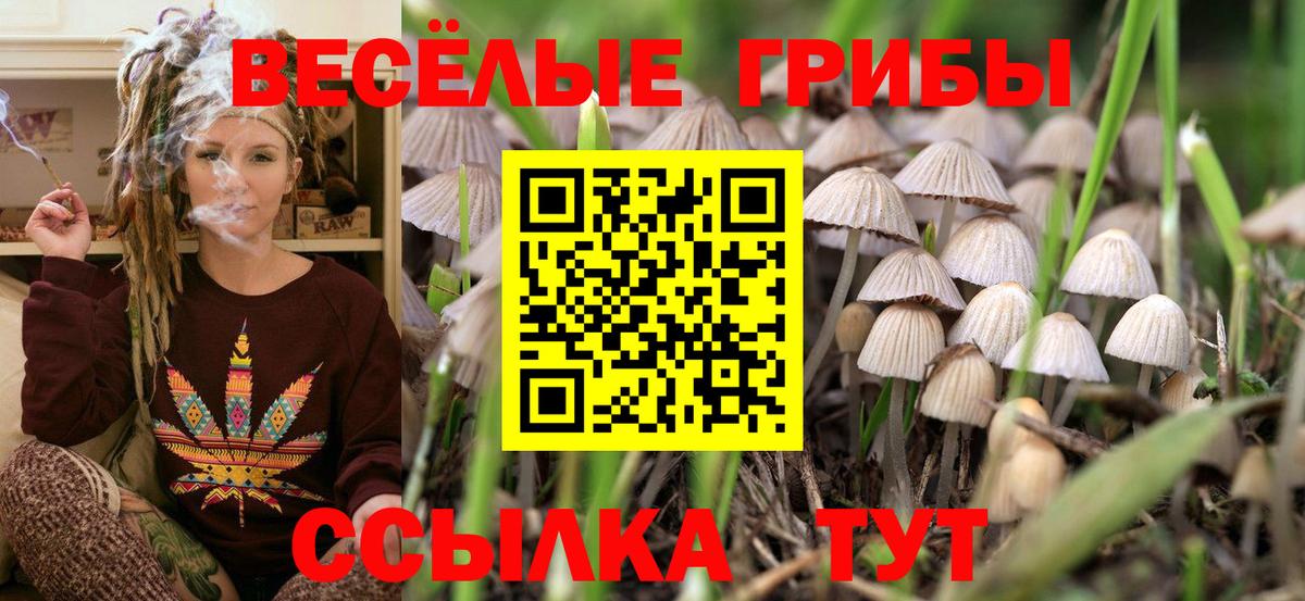 Галлюциногенные грибы мицелий  Вход с VPN  Кировск 